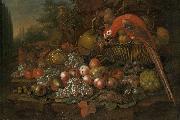 Francis Sartorius Still life with fruits and a parrot china oil painting artist